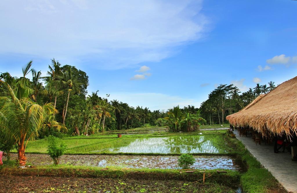 Sapulidi Resort Spa & Gallery Bali Убуд Экстерьер фото